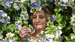 Cette fleur à semer en mars offre un festin aux abeilles et un refuge aux oiseaux tout l’été