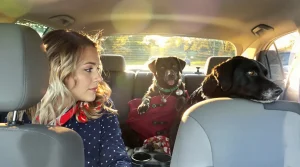 En voyant une chienne et ses 2 chiots sur la route, une automobiliste ressent un besoin irrésistible de faire demi-tour