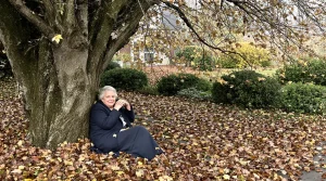 Jardiniers : cette vivace d’ombre méconnue illumine l’hiver, nourrit les abeilles et étouffe les mauvaises herbes