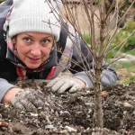 Le fruitier le plus simple du jardin : même sans main verte, ça marche à tous les coups