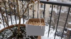 Ne jetez plus vos vieilles boîtes d’œufs : elles deviennent très utiles au jardin pour attirer les oiseaux cet hiver
