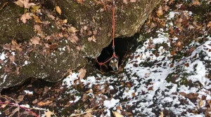 Un chien de chasse tombe dans un trou de 20 mètres, une équipe spécialisée se mobilise pour le sauver